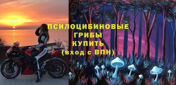 гидропоника Горняк