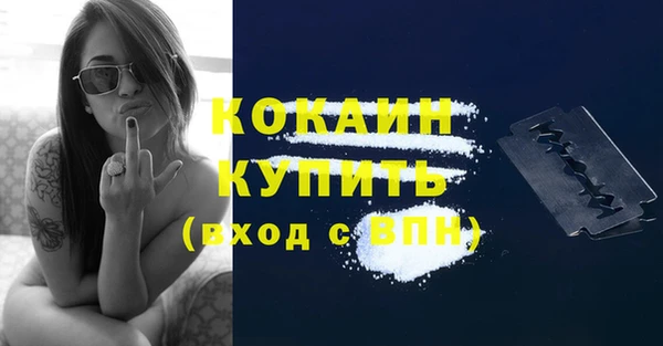 гидропоника Горняк