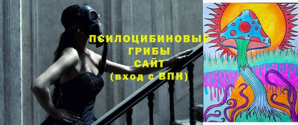 гидропоника Горняк