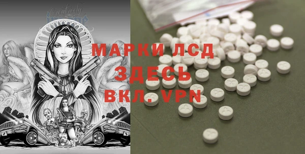 трава Гусиноозёрск