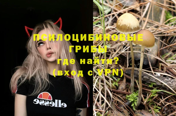 ALPHA PVP Гусь-Хрустальный