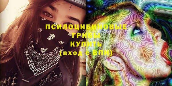 гидропоника Горняк